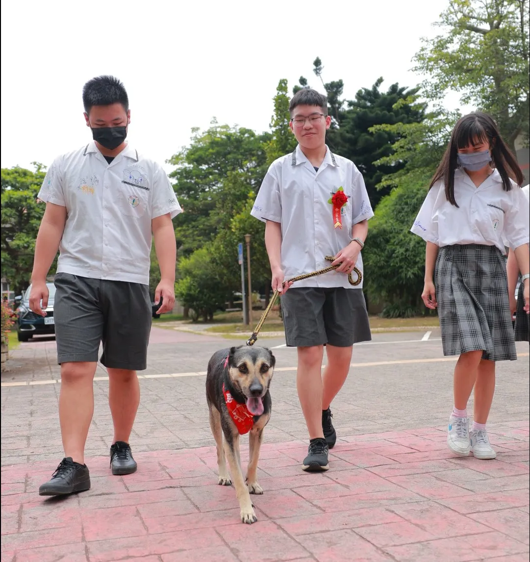 睿睿陪伴二年多哥哥、姐姐畢業典禮。(圖/新北動保處)