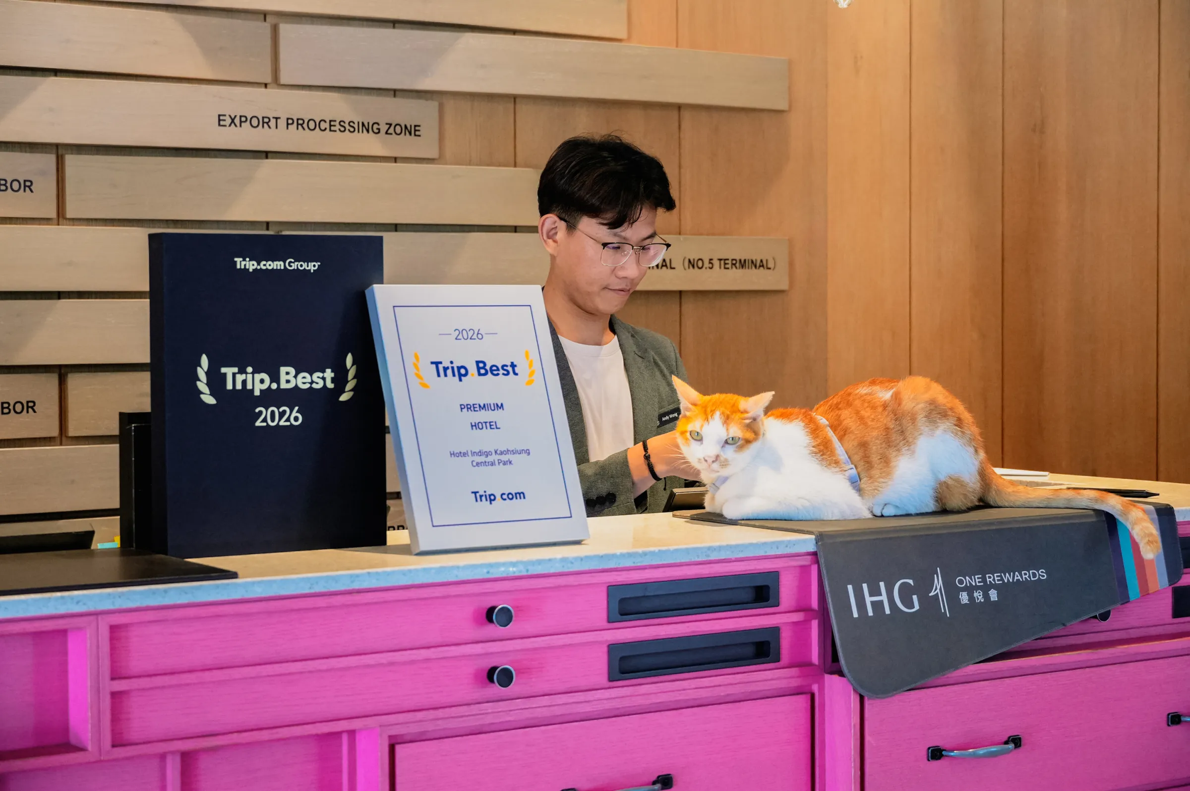 最萌「偷心賊」！動保處攜手英迪格酒店，讓來自動物關愛園區的貓咪化身旅館「前台值班經理」。（圖/高市農業局提供）