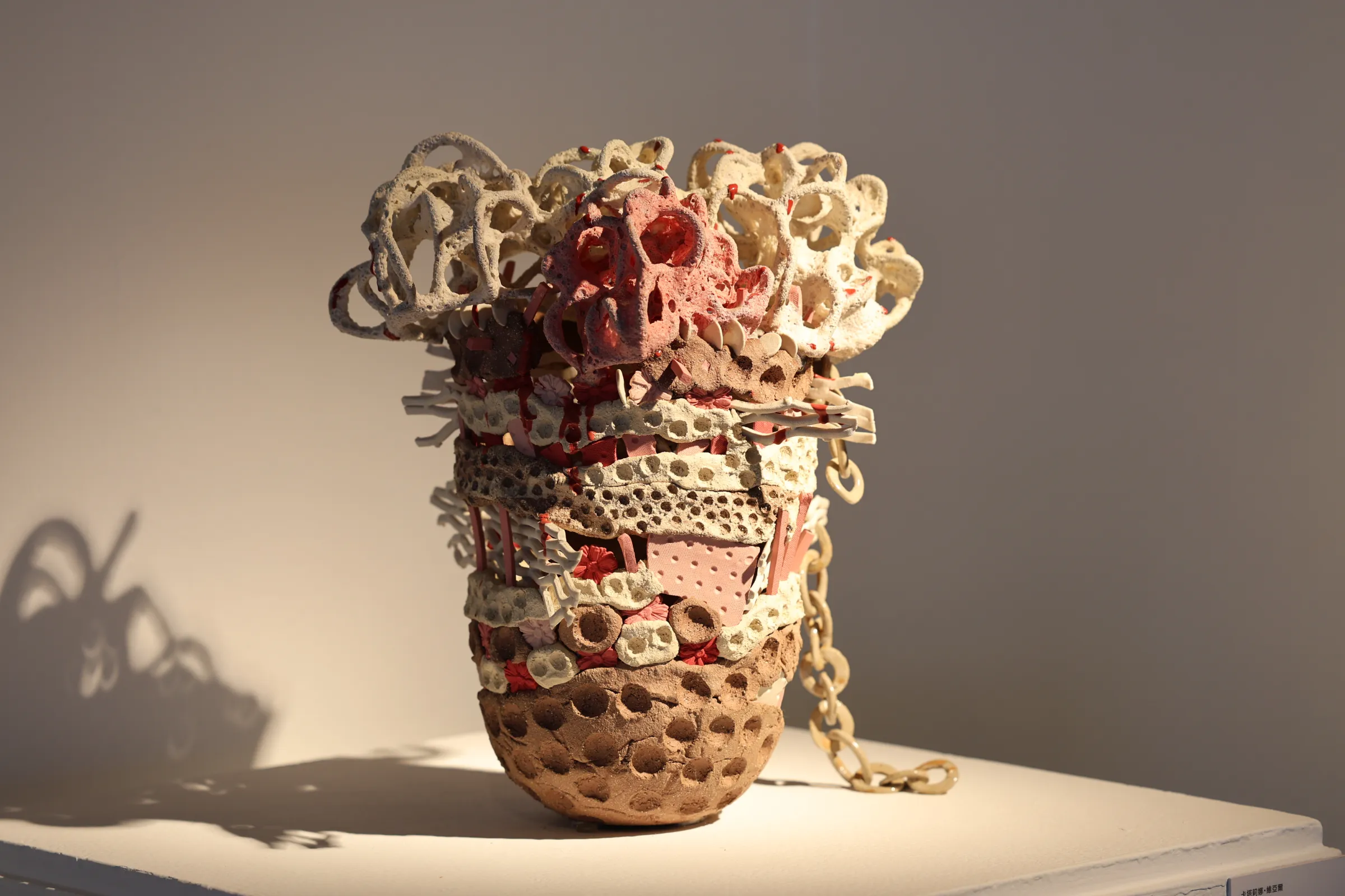 卡塔莉娜・維亞爾(Catalina Vial)，作品《米斯特拉爾的豐饒》。（圖/陶博館提供）