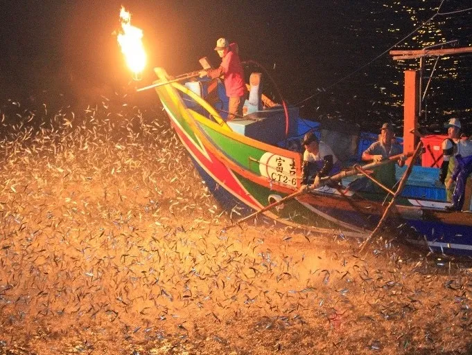 北海岸夜色中，漁火映照海面與魚群，傳統海上作業成為人與潮汐共舞的生命風景。（圖／主辦單位提供）