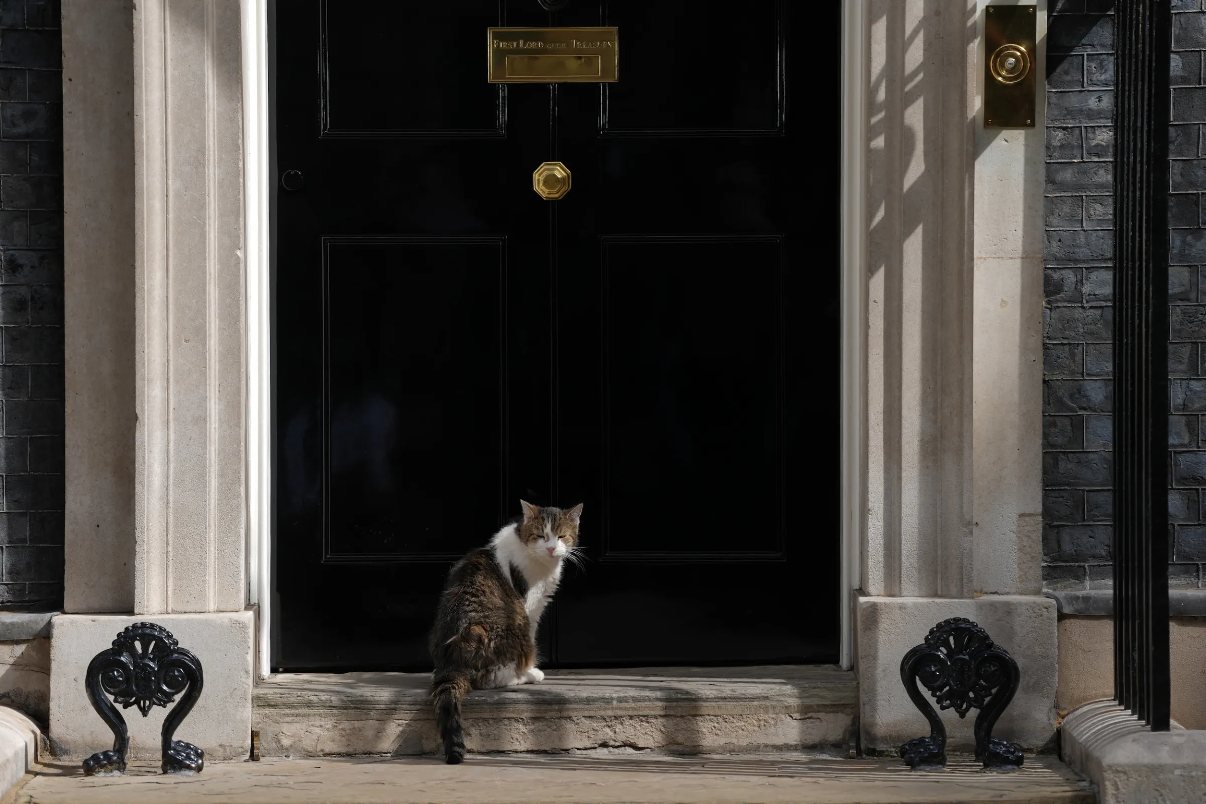 2026年7月20日，工黨領袖柏南接替施凱爾成為英國新首相前，英國內閣辦公室首席捕鼠大臣Larry坐在唐寧街10號門口。（美聯社）