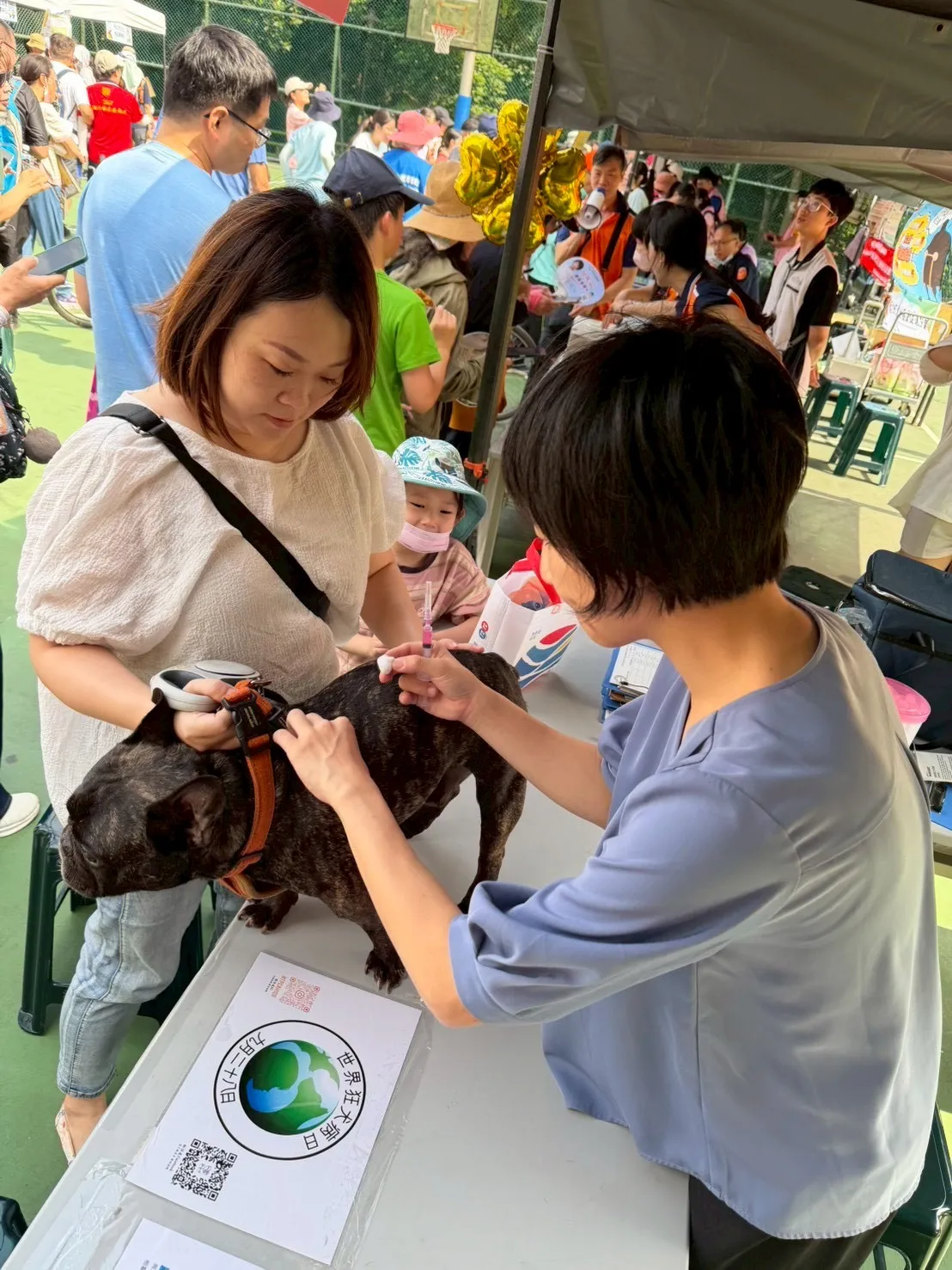 預防狂犬病除了要為家中犬貓每年施打狂犬病疫苗。（圖/新北動保處）