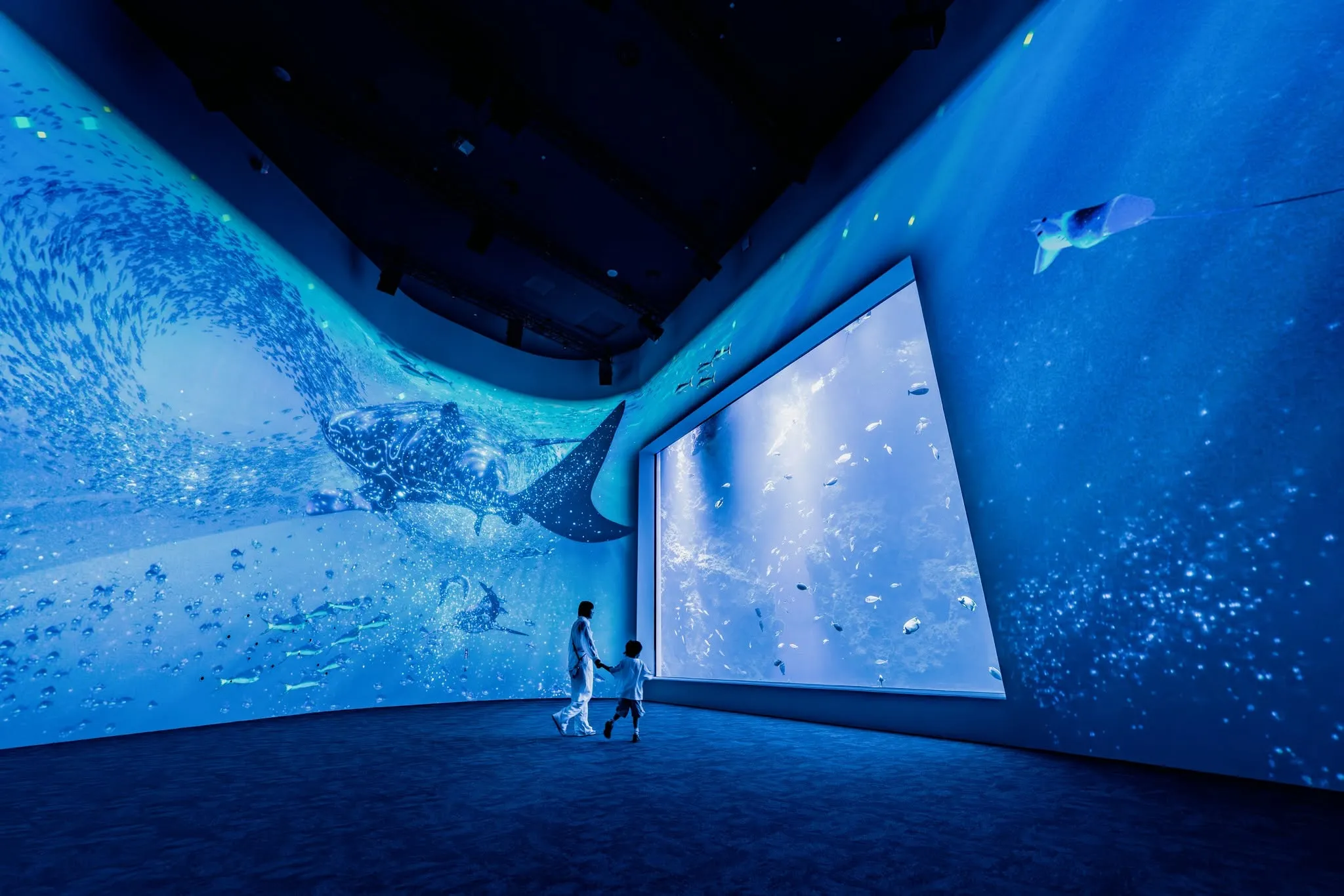 台中海洋館招牌展區「黑潮之海」，以巨型水缸展現豐富生態。（圖／取自FB@台中海洋館）