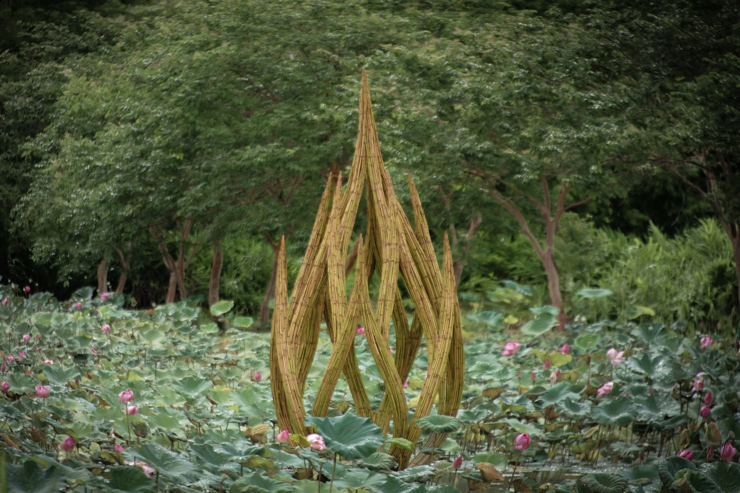 英國藝術家Tim Norris在馬太鞍濕地打造《湧現》,竹編蓮花自水面升起,象徵土地走過風雨後重新向光生長。(圖/農村水保署臺東分署、花蓮分署提供)