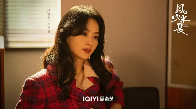 陸劇事業腦最強女主第1名：趙麗穎《風吹半夏》（圖／取自微博）