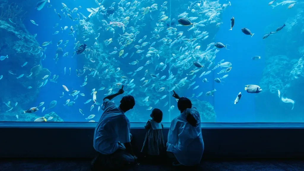 台中海洋館（圖／台中海洋館提供）