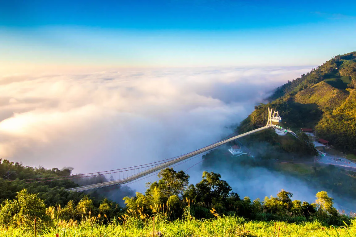 嘉義梅山太平雲梯堪稱是全台海拔最高的景觀吊橋。（圖／取自交通部觀光署阿里山國家風景管理處官網）