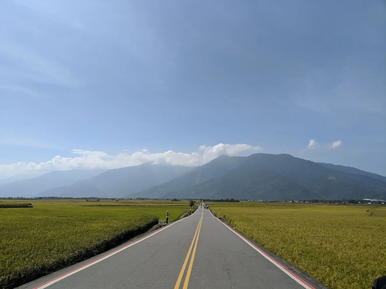 伯朗大道,稻田,台東（資料照／洪煜勛攝）