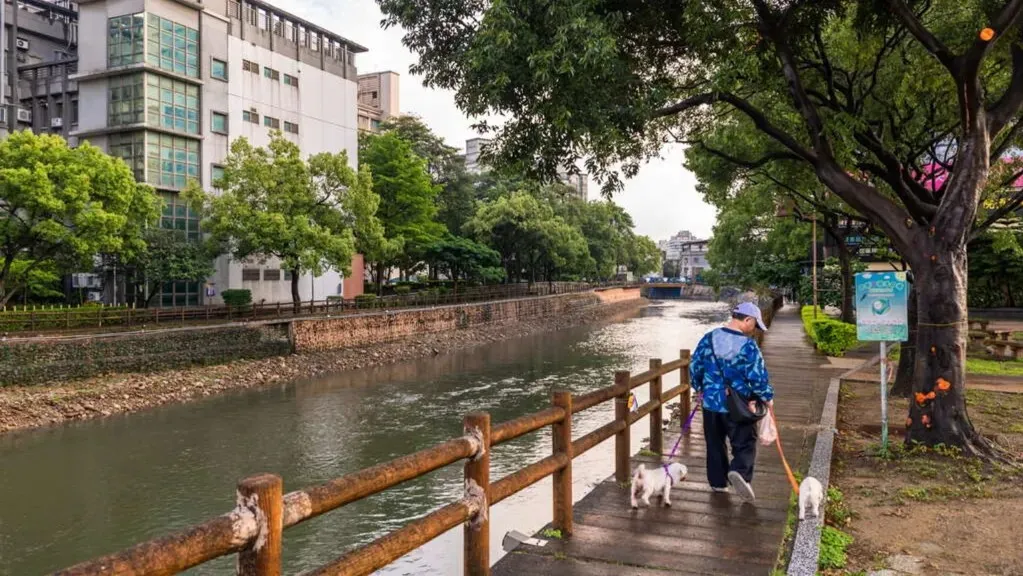 桃園景點老街溪沿岸步道現場景致。畫面呈現市民攜帶寵物犬於木棧道悠閒散步，旁有綠樹成蔭與清澈溪水景致。（圖／翻攝官網、桃園市政府風景管理區、桃園觀光導覽網）