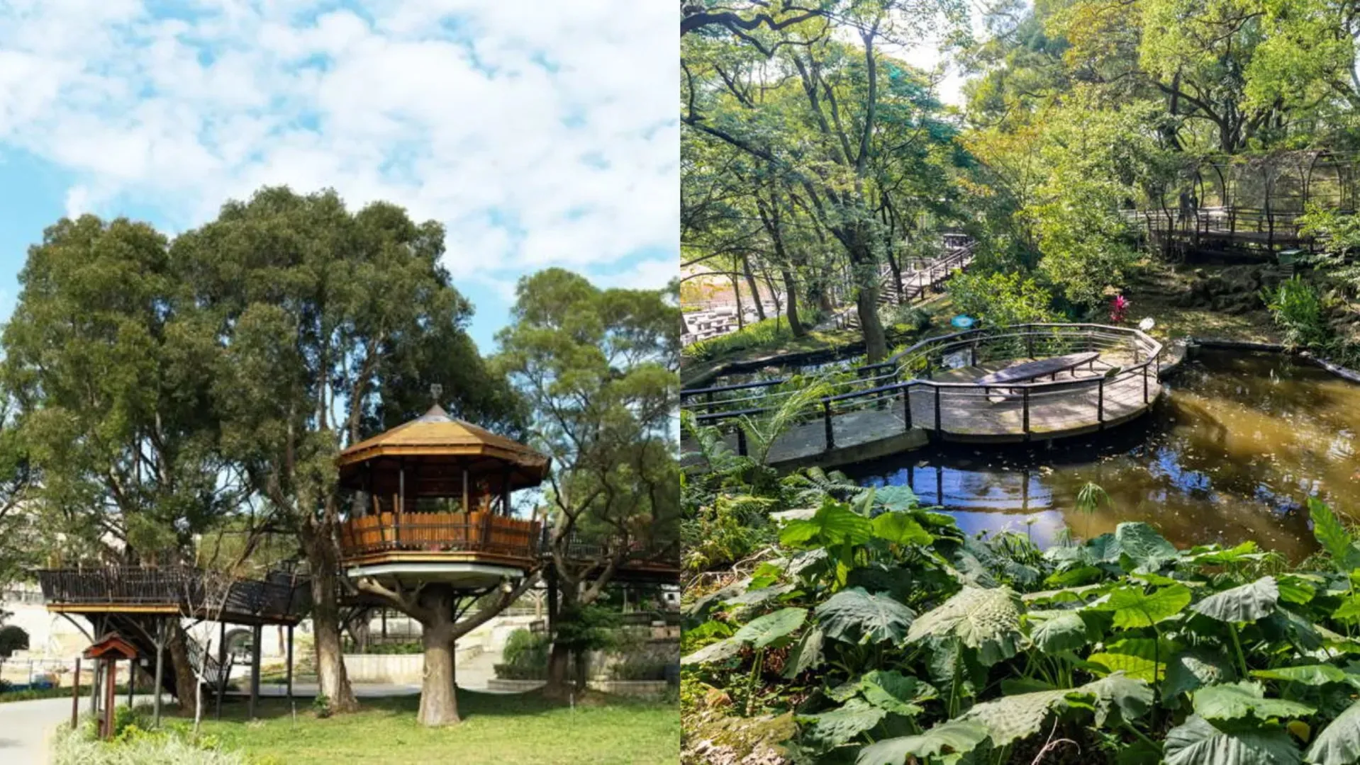 桃園景點虎頭山風景特定區主題組合圖。畫面左側展示奧爾森林學堂特色木造樹屋，右側呈現公園生態池與林間空中木棧步道景致。（圖／翻攝官網、桃園市政府風景管理區、桃園觀光導覽網）