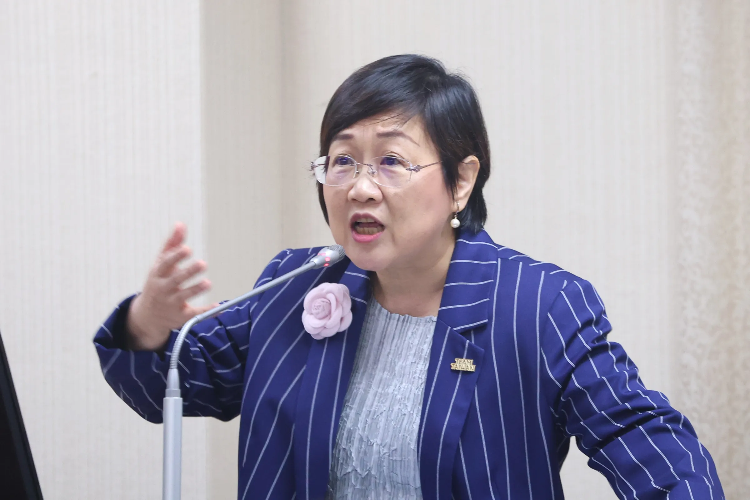 20260819-僑委會委員長徐佳青19日於外交國防委員會備詢。（顏麟宇攝）