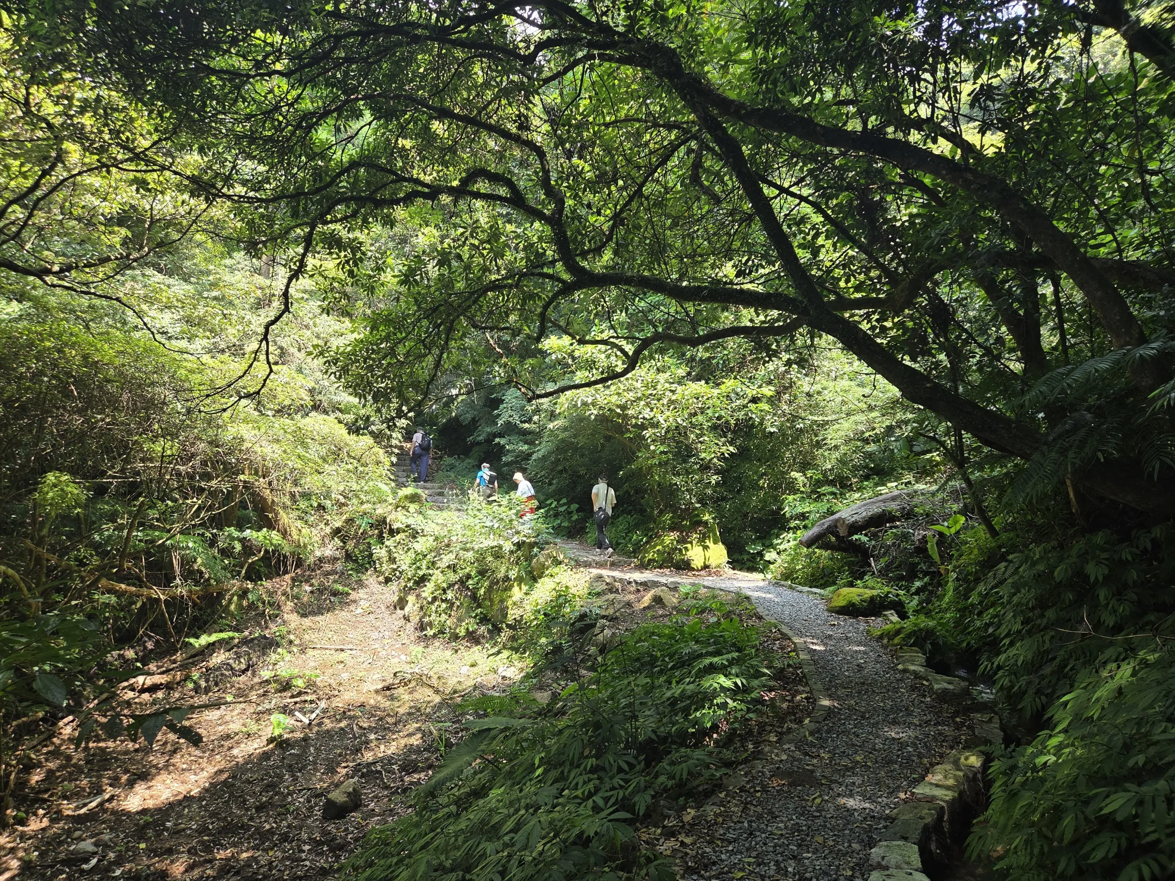 猴崁水圳步道 。（圖／取自臺北市政府工務局大地工程處）