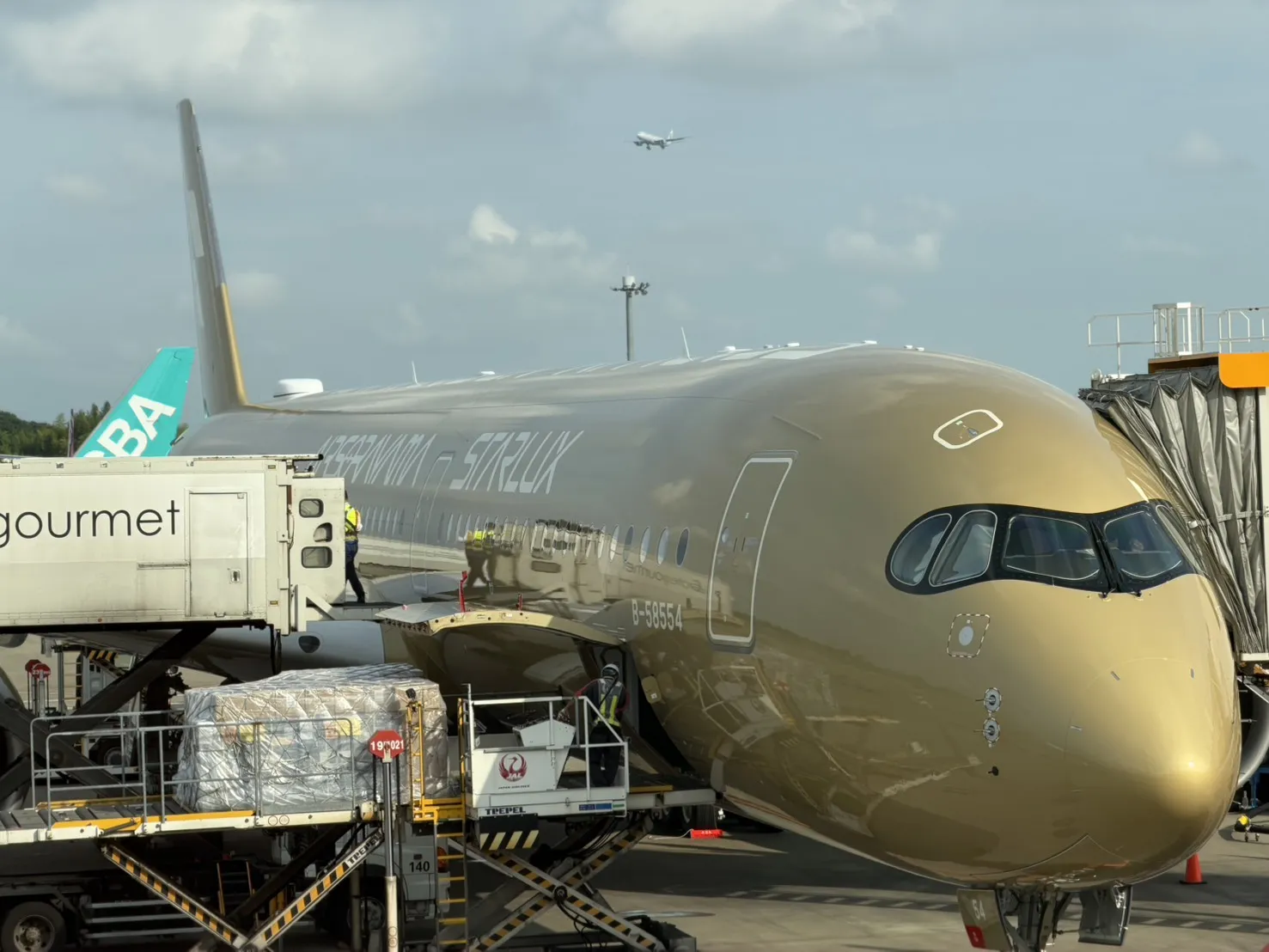 星宇航空表示，公司全體同仁都對張甄芸的奮戰精神十分感動，全體同仁也都非常支持她。（圖／記者張一笙攝）