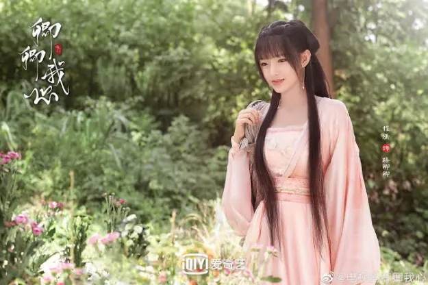 陸劇最有「富貴花感」女星第9名：程瀟《卿卿我心》（圖／取自微博）
