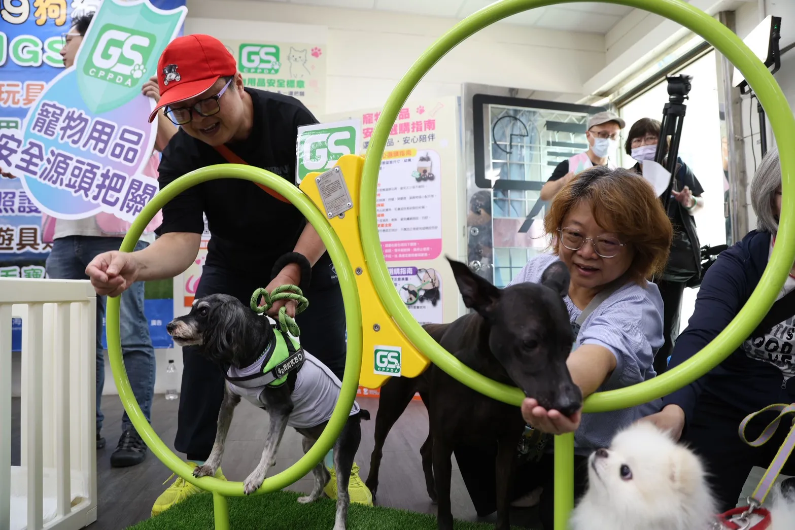 飼主跟寵物進行GS寵物用品安全標章認證之鑽圈遊具活動。(圖/新北動保處提供)