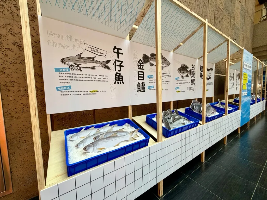 食魚教育展區集結7種國產水產品，透過圖文介紹與趣味陳列，讓往來旅客輕鬆認識台灣常見魚種與料理方式。(圖/農業部提供)