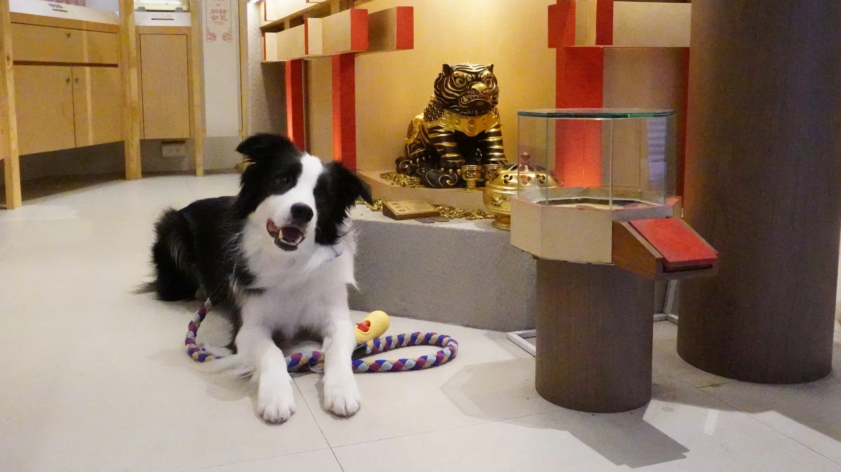 虎爺は祭壇の上ではなく、その下の床に、訪れた犬の目線の高さに祭られている