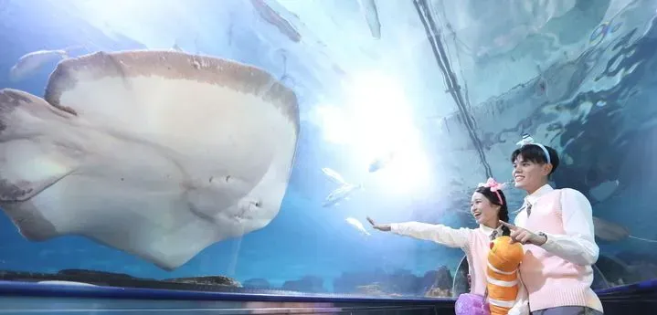遠雄海洋公園以大型水槽展示魟魚等海洋生物，遊客可近距離觀察。（圖／翻攝官網遠雄海洋公園）