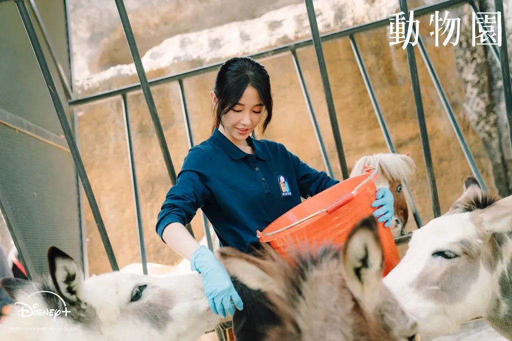 邵雨薇在《動物園》中飾演實習保育員，劇中於壽山動物園照護動物。（圖／Disney+提供）