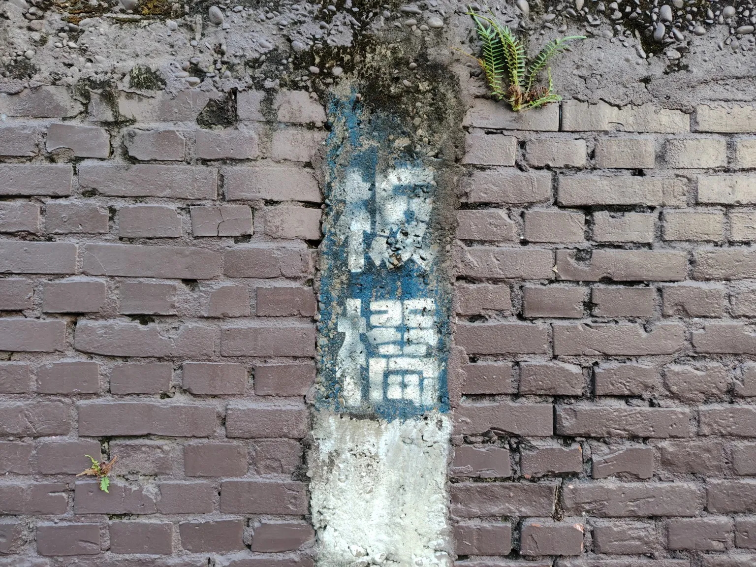 （圖／魏甫丞攝）