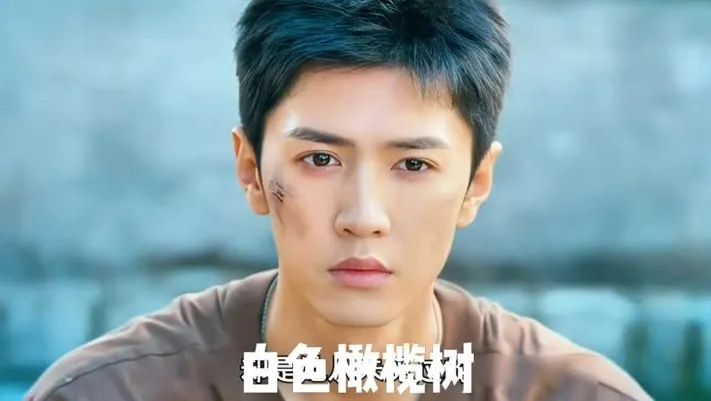 陸劇禁慾感男神第8名：陳哲遠《白色橄欖樹》（圖／取自微博）