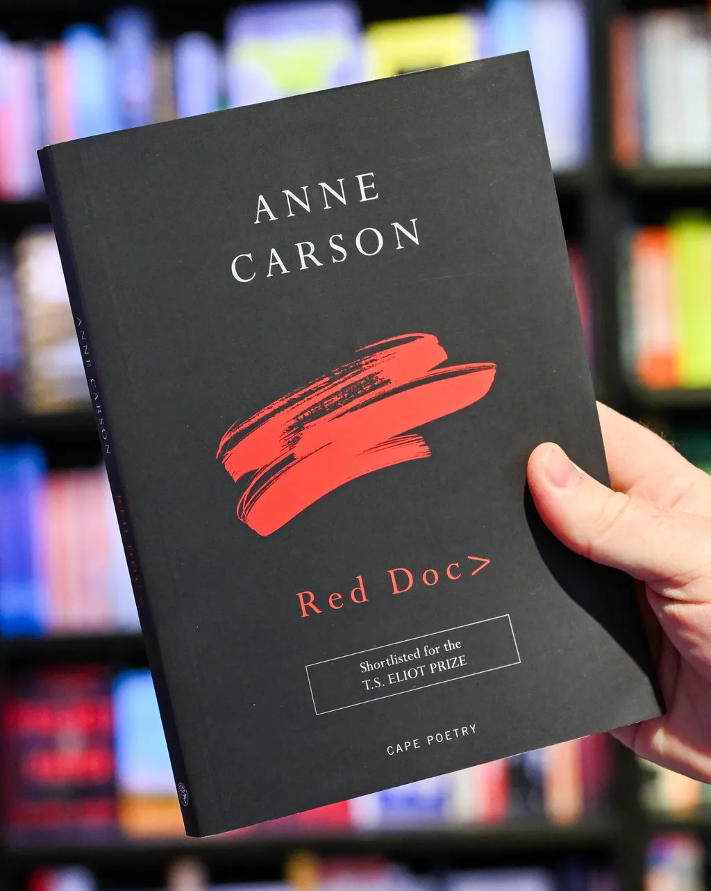 諾貝爾文學獎得主安·卡森的知名作品之一：《Red Doc>》。（美聯社）