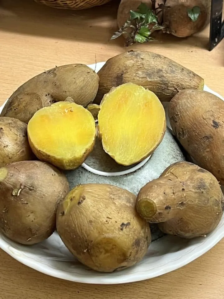 有網友分享，蒸地瓜前在盤子倒扣一個碗，就能獲得鬆軟香甜、不濕濕爛爛的地瓜。（圖／翻攝自家常菜）