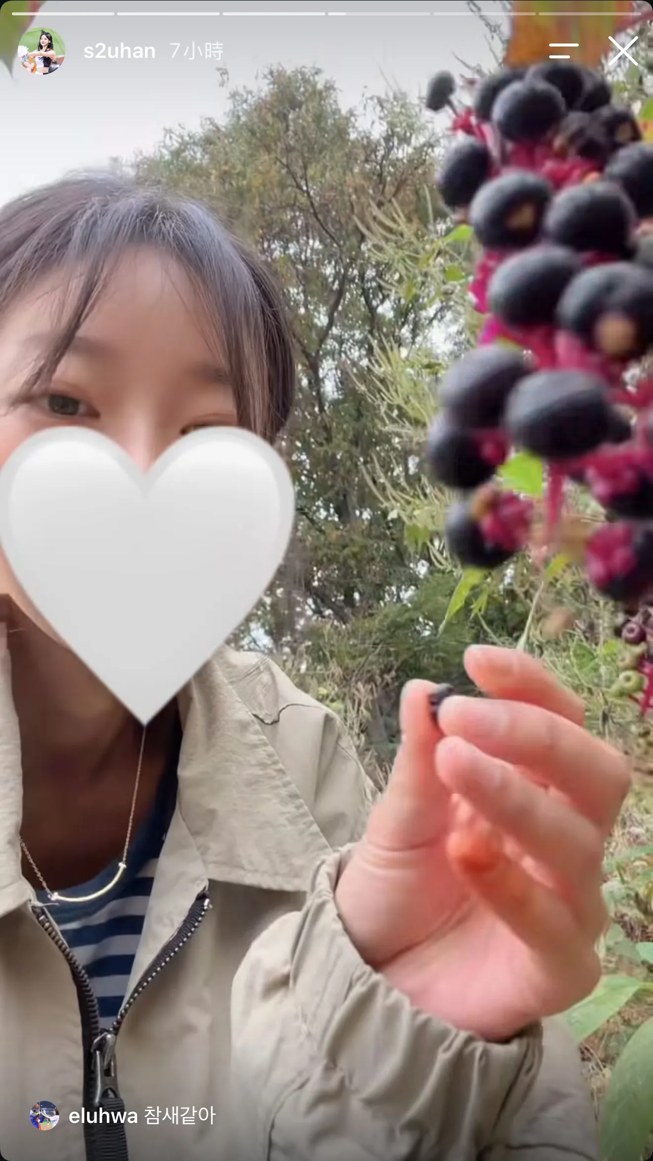 禹洙漢竟然在路邊摘野果來吃，超天然舉動讓粉絲又好氣又好笑，紛紛提醒她別亂吃。（圖／翻攝自禹洙漢IG@s2uhan）