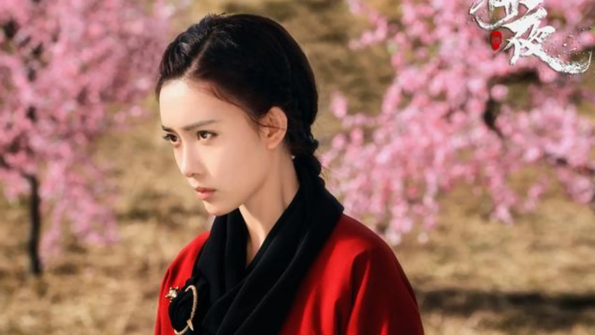 孟子義最強陸劇第1名：《射鵰英雄傳》｜豆瓣評價：7.9分（圖／取自微博）