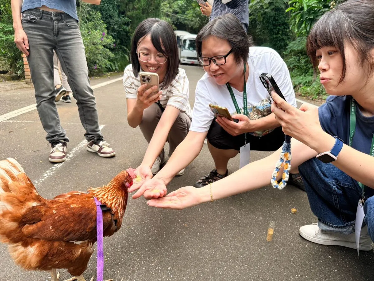 金山青農陳琬婷從友善養殖與生態習性出發，帶領教師認識雞隻生活環境及蛋品特色。(圖／開平餐飲學校提供)