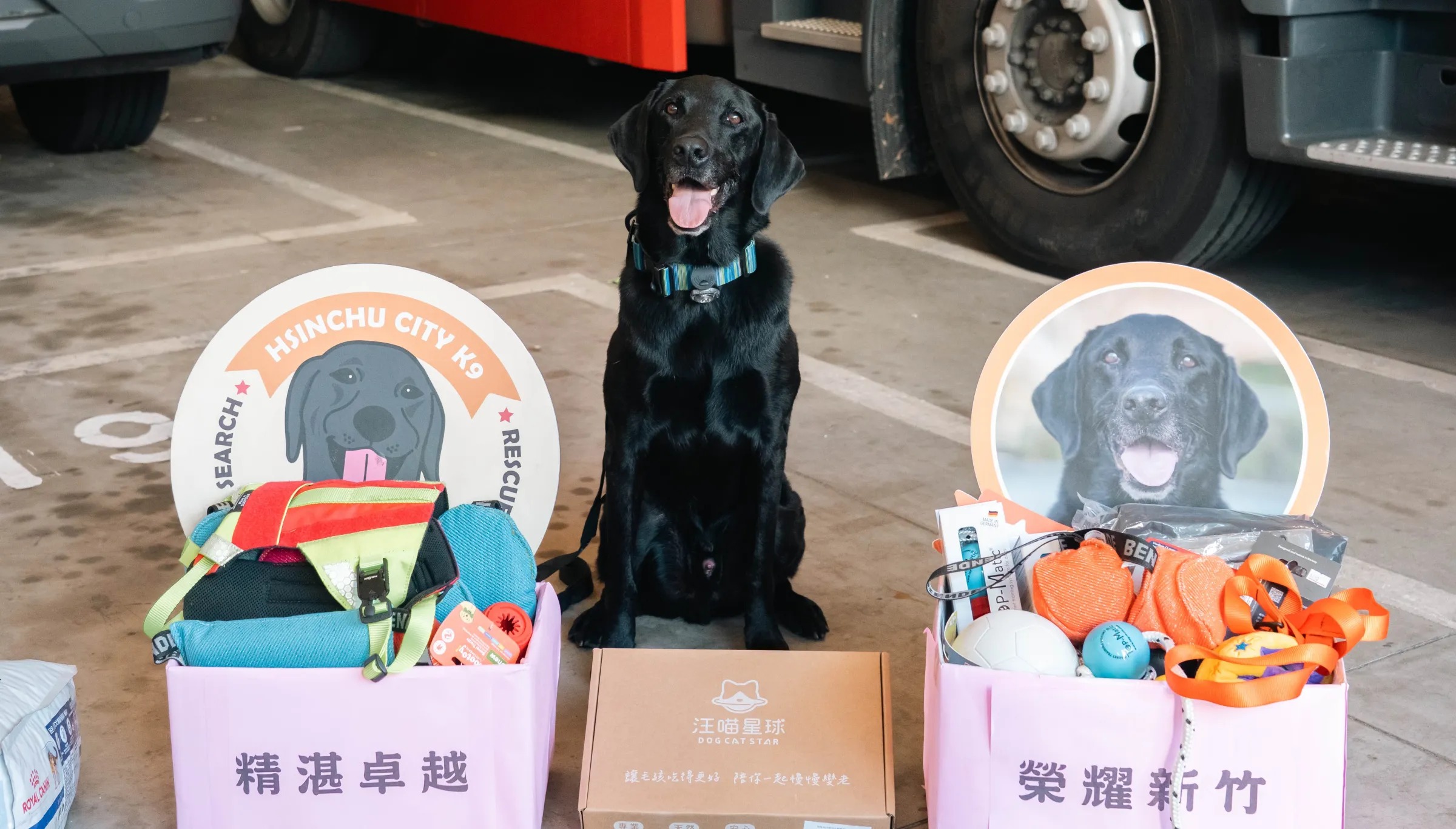 竹市英雄犬CLAY為新竹市及台灣在國際搜救舞台上爭取榮耀。（圖／新竹市政府提供）