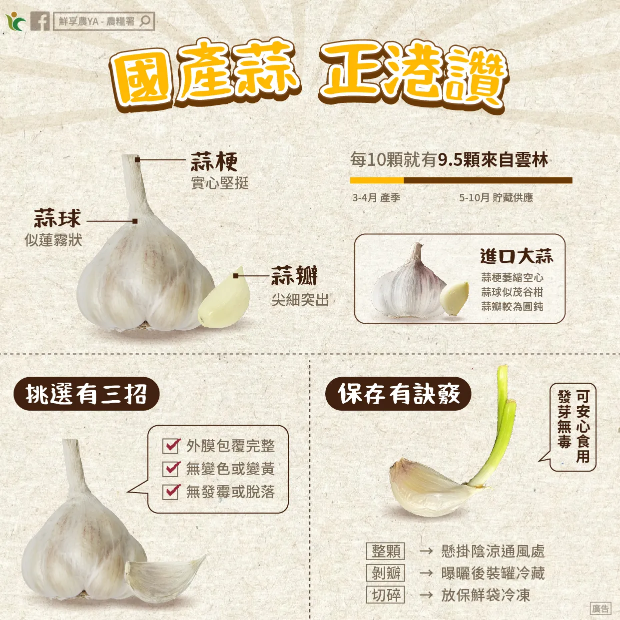 蒜頭保存與挑選方法。(圖/取自農糧署臉書專頁)