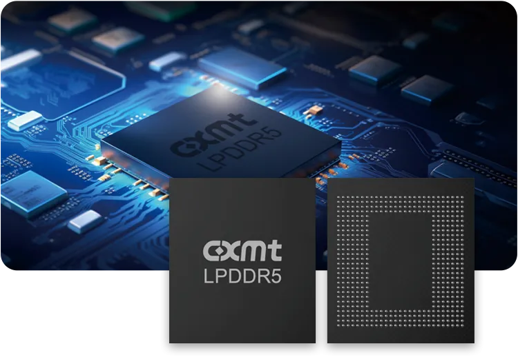 長鑫存儲LPDDR5記憶體晶片。(取自長鑫存儲官網)
