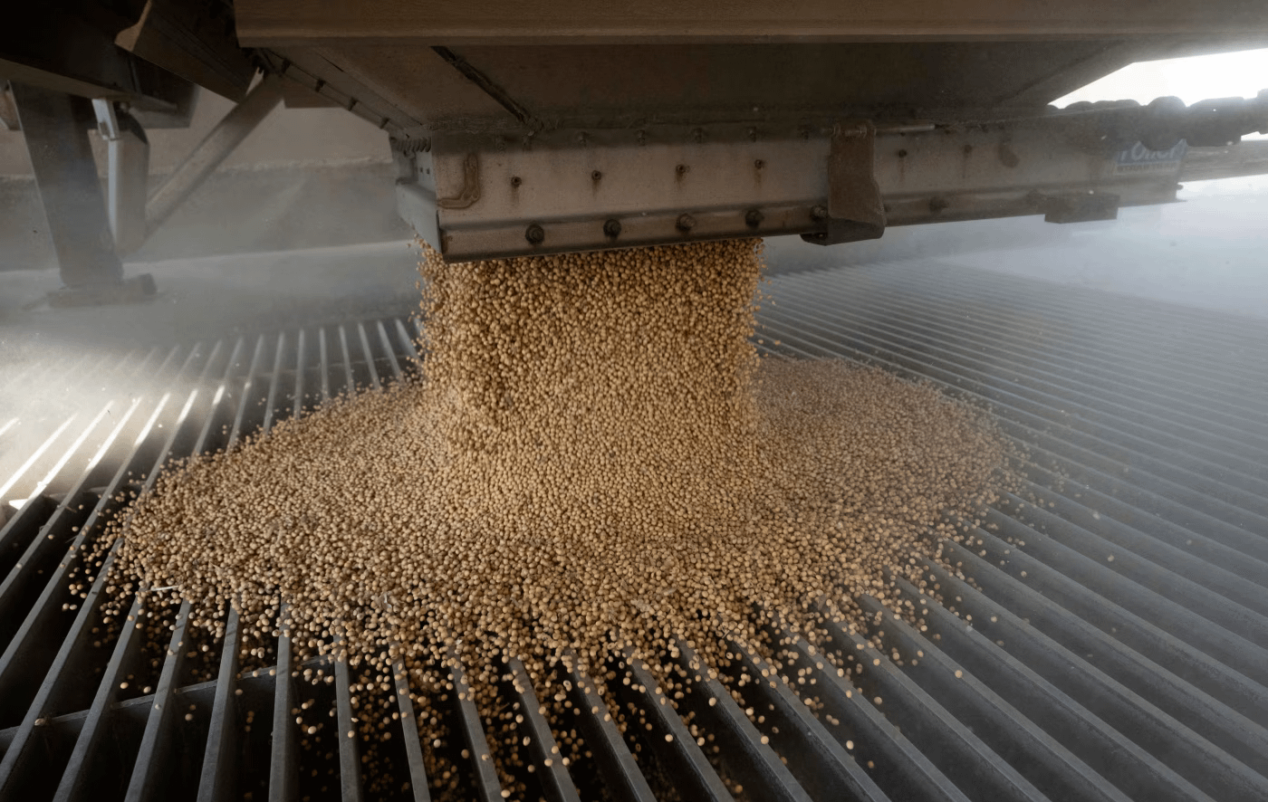 米国農務省の毎週のデータが示すところでは、中国は米国産大豆の購入量を削減し、2025年に輸入予定の豚肉の量を減らしている。アナリストは、この傾向が続く場合、農産品価格が大きな圧力に直面すると予測している。(画像提供:viaウォール・ストリート・ジャーナル)