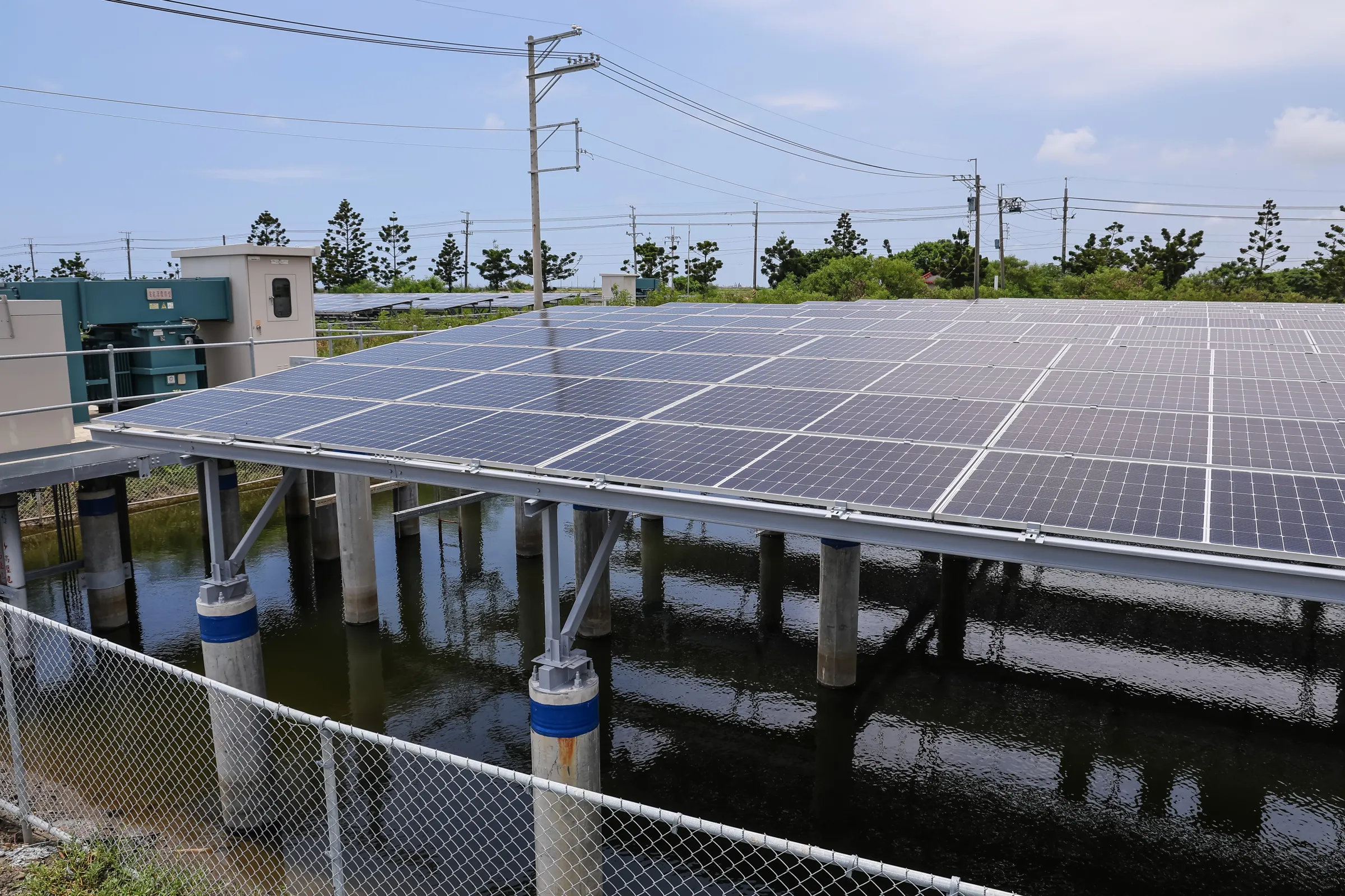 魚電共生太陽光電板。(顏麟宇攝)