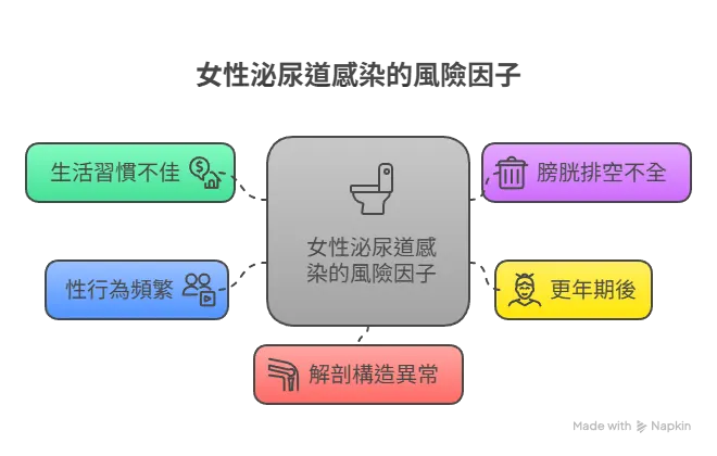 女性泌尿道感染的風險因子。(圖/取自問8健康新聞網)