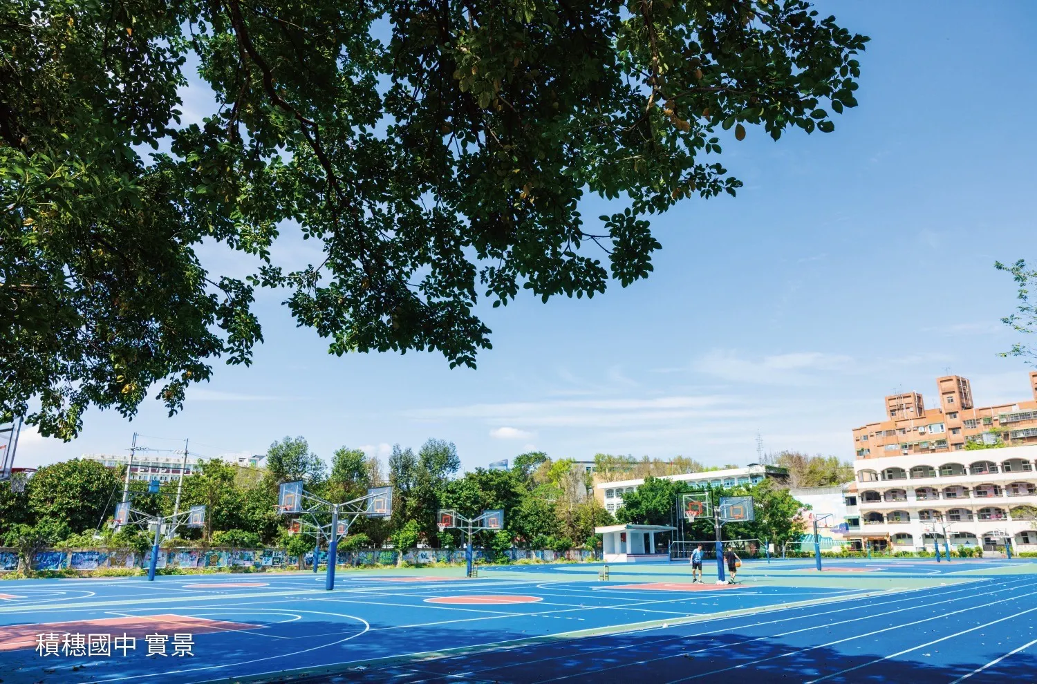 圖片來源:東瑩提供