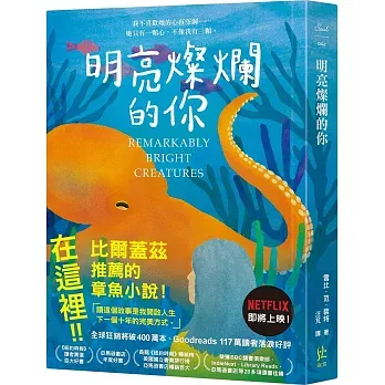 明亮燦爛的你。(圖/擷取自博客來官網)