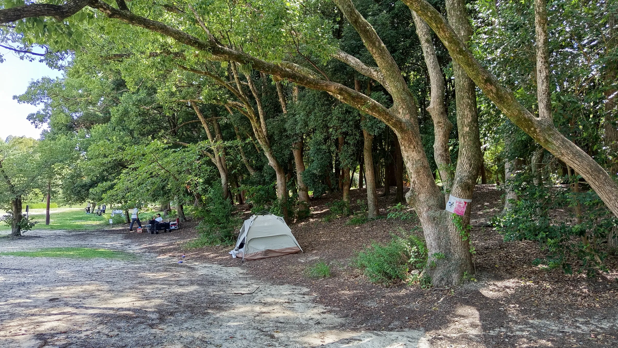 大阪的服部綠地公園。(林崇義提供)