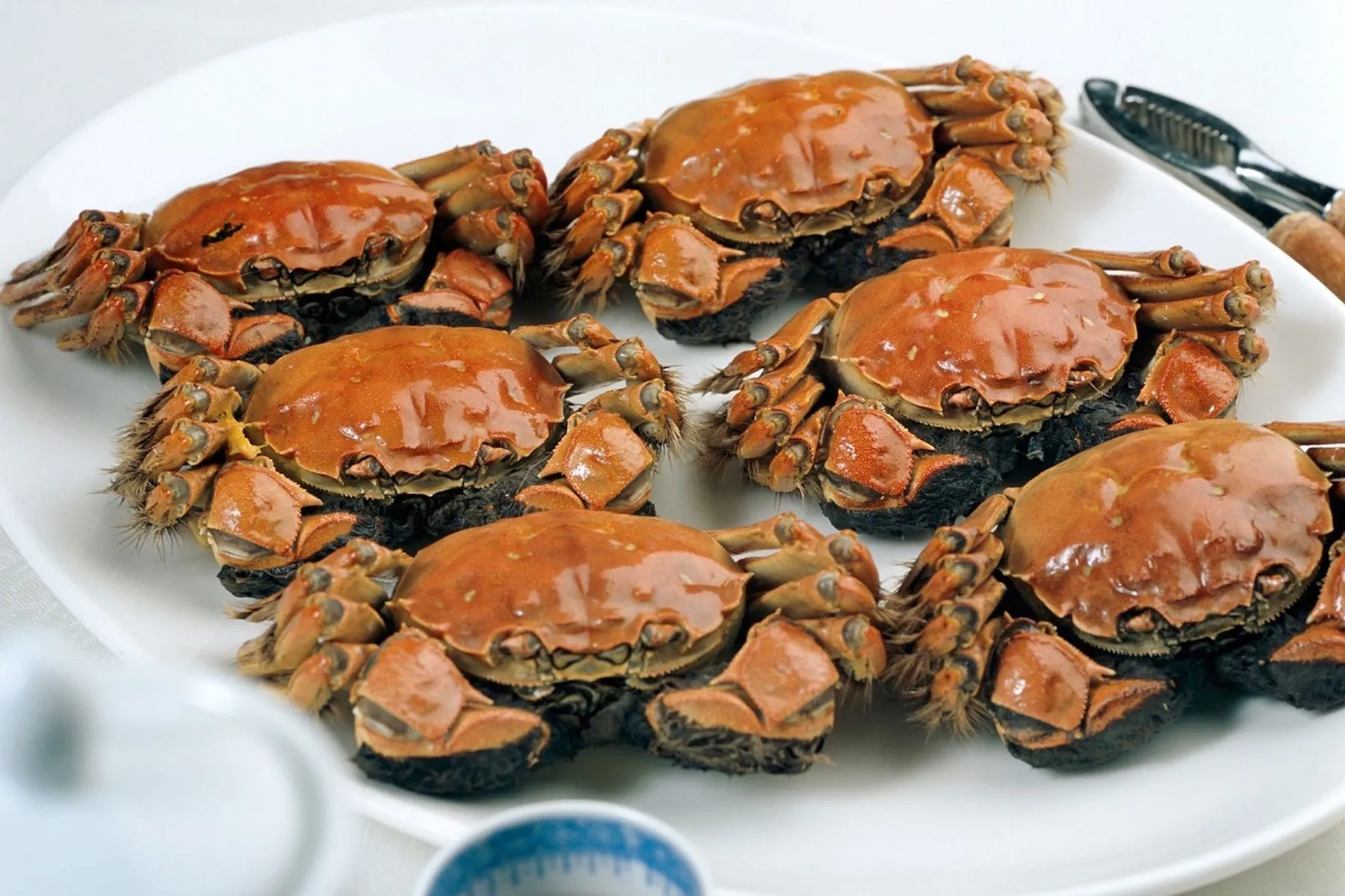 秋季是品嚐大閘蟹的最佳時節,旅客可於香港品味鮮甜肥美的時令蟹宴。(圖/業者提供)