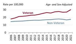 美國退伍軍人部統計,2006年至2021年退伍軍人的自殺率持續走高。(美國國會官網)