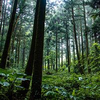 警察が基隆の山岳地帯で乳児の遺体を発見。(資料写真) 警察が基隆の山岳地帯で乳児の遺体を発見。(資料写真)