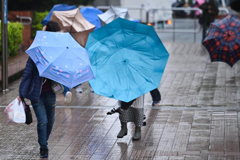 壞掉的雨傘怎麼丟?是垃圾還是回收?環保局公布正確解答,許多民眾都搞不清楚 - 風傳媒