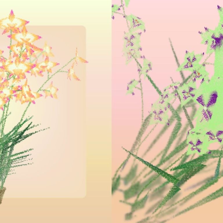 Cattleya #228 & Cattleya #237(Artist/Ben Snell,圖/藝動區塊、Art Blocks 提供)