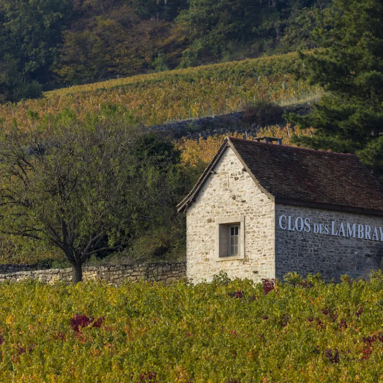 位於法國布根地(Bourgogne) 的隆布萊園 (Clos des Lambrays)(圖/Lambrays)