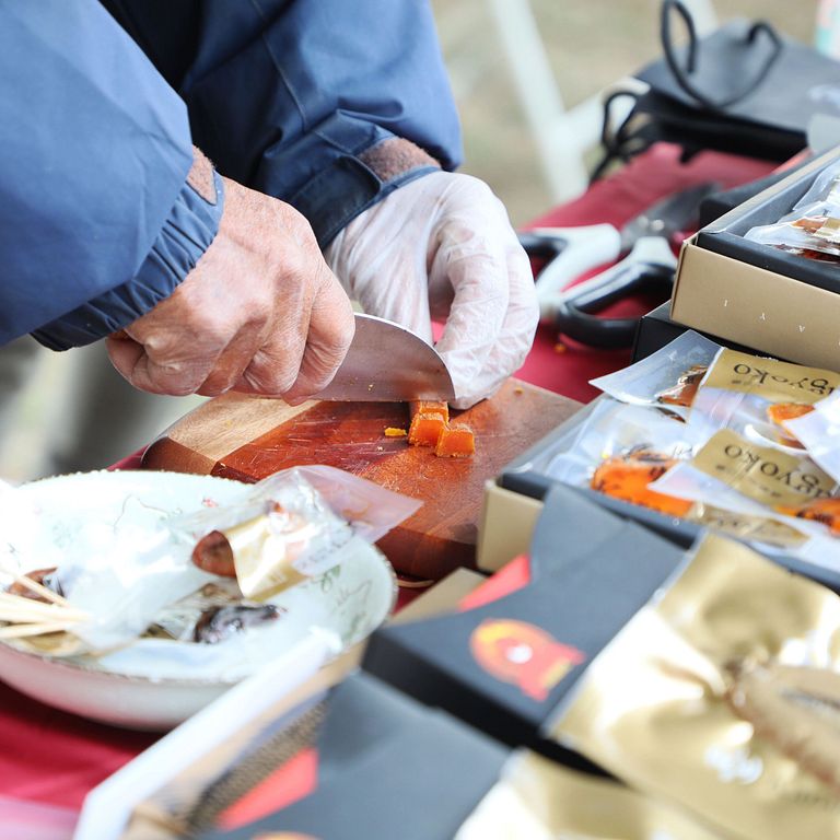 (圖片來源:嘉義縣政府)