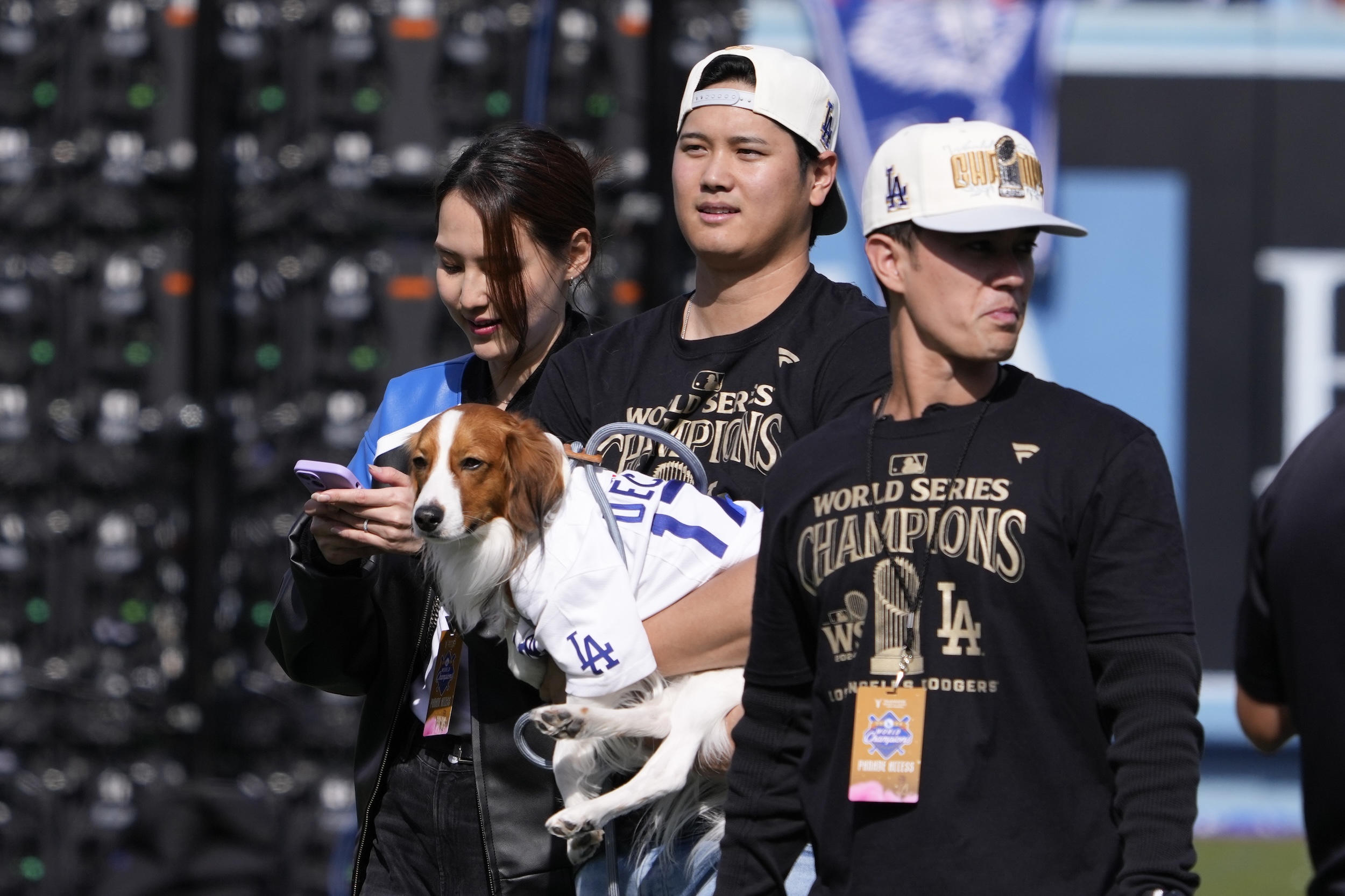 【PSA10】　大谷翔平　愛犬デコピン共演　MVP受賞記念カードTOPP 2025年最新】大谷翔平 デコピン psa10の人気アイテム - メルカリ