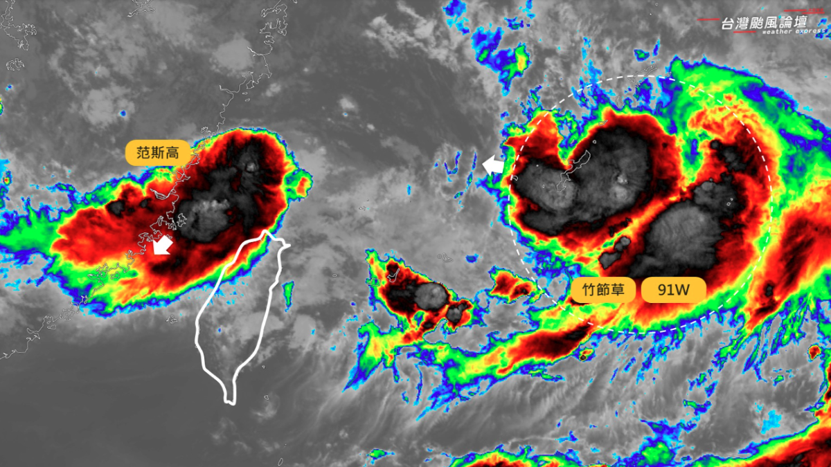 竹節草「死而復生」又成颱！當年同案例害台灣300處淹水…這次中南部要小心了| 林瑩真| 全解析- 風傳媒