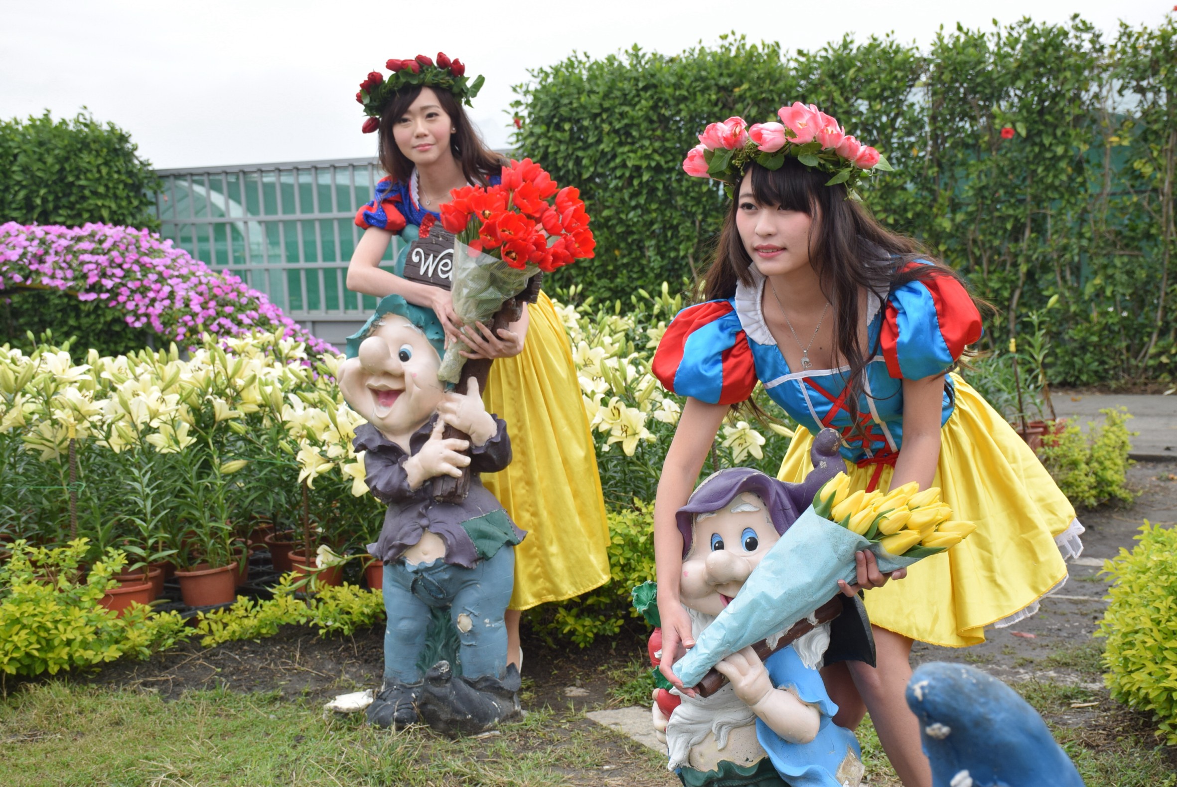 不用去荷蘭后里20萬株鬱金香綻放| 台灣好新聞報| 地方新聞- 風傳媒