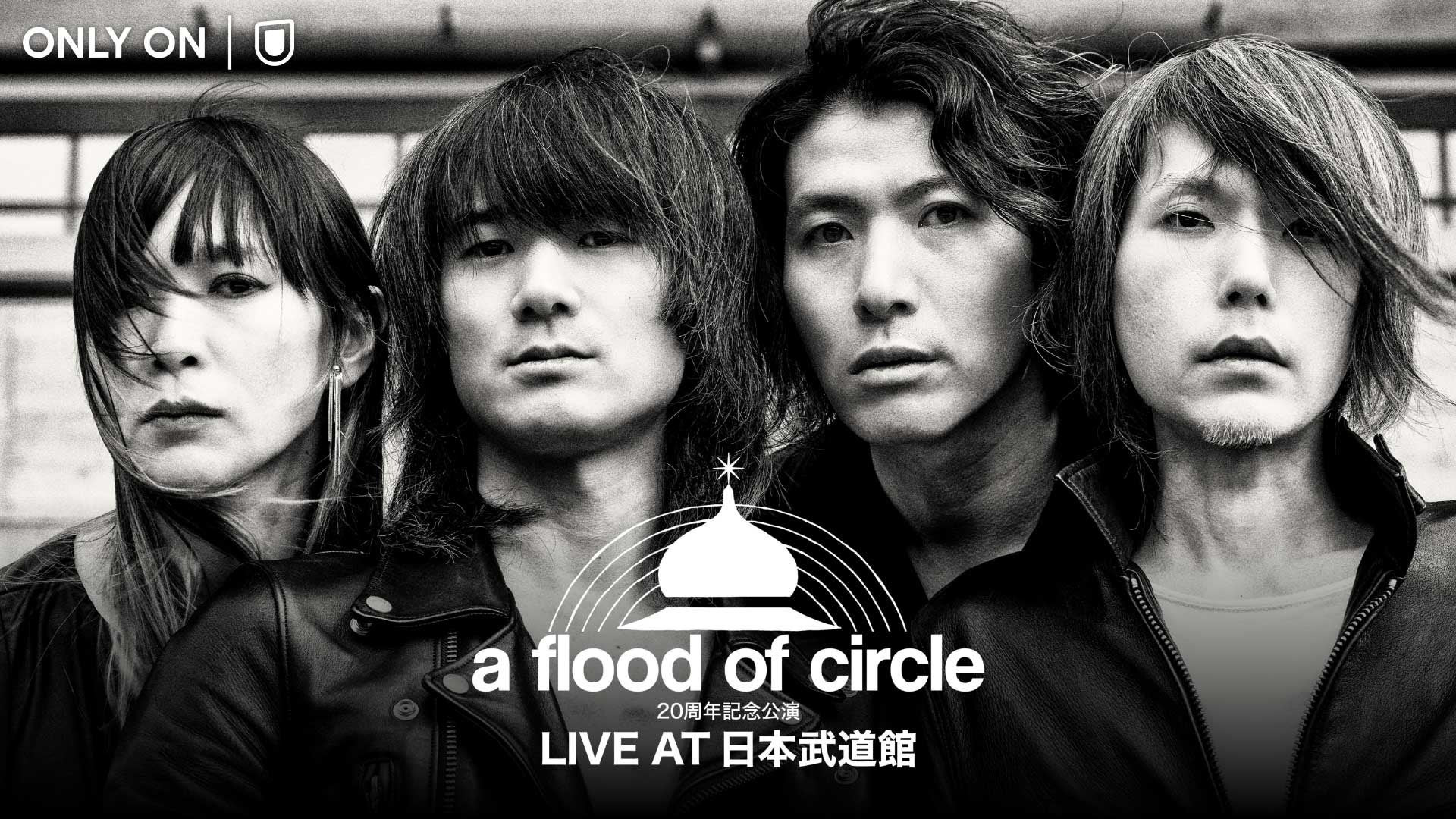 a flood of circle、結成20周年で初の日本武道館単独公演をU-NEXTで